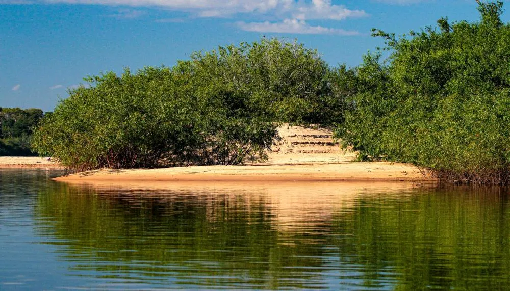 Recursos do Fundo Amazônia serão utilizados no monitoramento ambiental e no combate ao fogo, principalmente no Cantão. Foto: Fernando Alves/Governo do Tocantins.