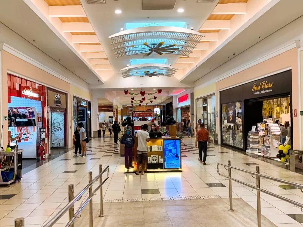 Governo do Tocantins celebra crescimento de 13% no volume de Serviços em outubro de 2024