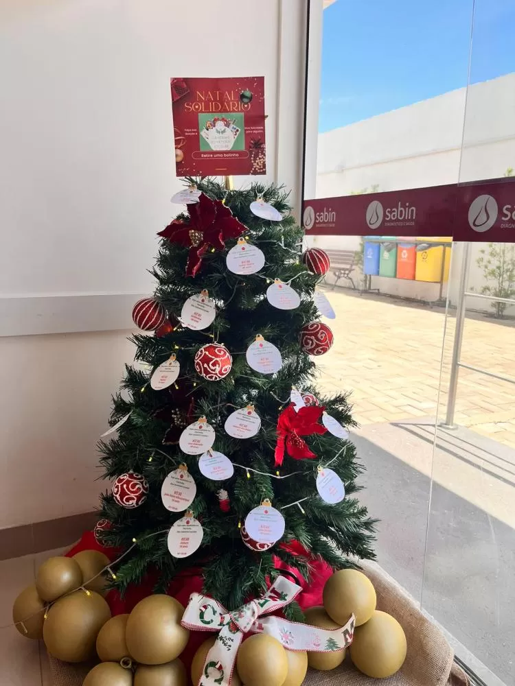 Campanha de adoção de kits escolares transforma o Natal de crianças no Tocantins 