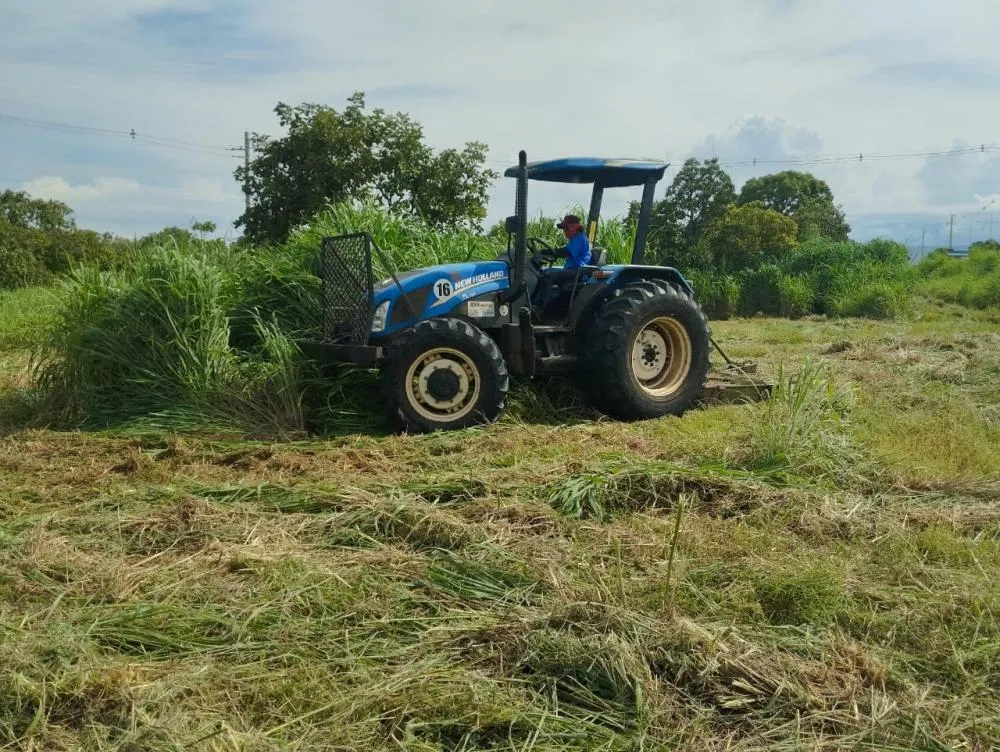 Prefeitura de Palmas amplia serviço de roçagem em diversos pontos da cidade