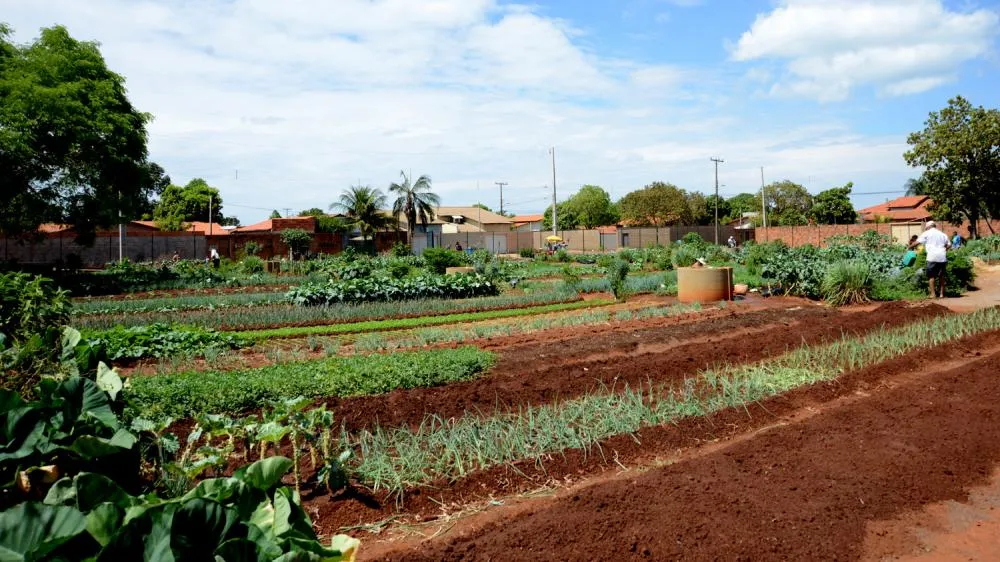 Oficina da estratégia Alimenta Cidades com foco na segurança alimentar e inclusão social será realizada em Palmas